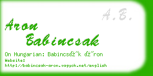 aron babincsak business card